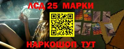 прущие грибы Малгобек