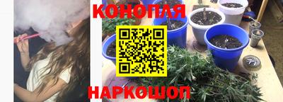прущие грибы Малгобек