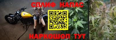 прущие грибы Малгобек