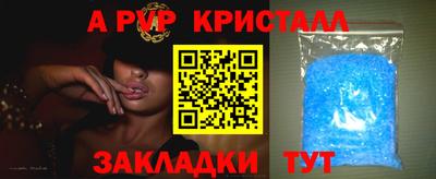 прущие грибы Малгобек